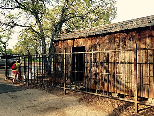 Mark Twain's cabin